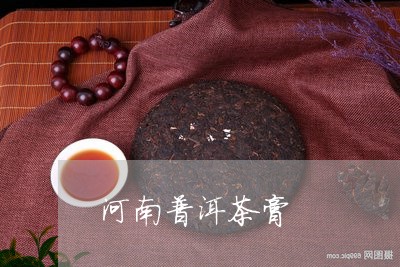 河南普洱茶膏/2023042686523