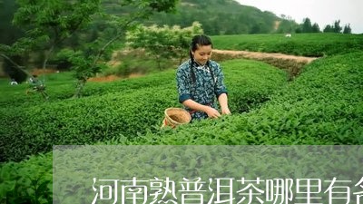 河南熟普洱茶哪里有名/2023080171715