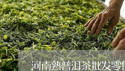 河南熟普洱茶批发零售/2023092866058