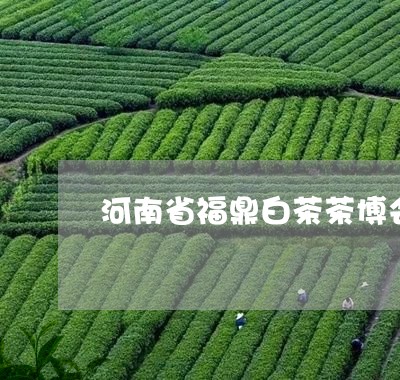 河南省福鼎白茶茶博会/2023100342625