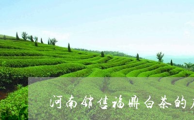 河南销售福鼎白茶的店/2023062960625