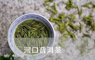 河口普洱茶/2023090571793