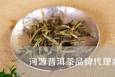 河源普洱茶品牌代理商有哪些/2023052872714