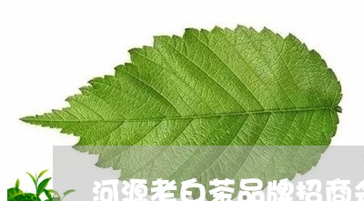 河源老白茶品牌招商会/2023100316958