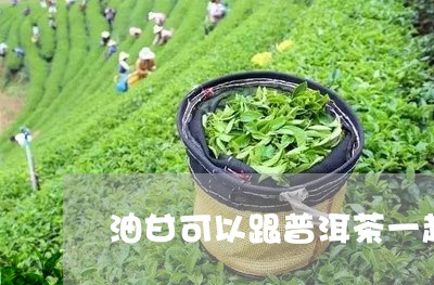 油甘可以跟普洱茶一起吃吗/2023051065068