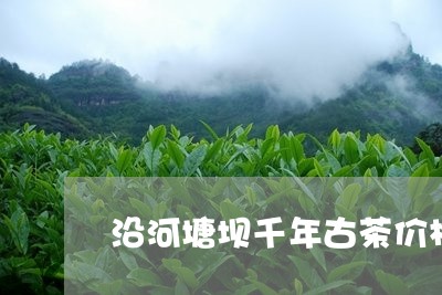 沿河塘坝千年古茶价格/2023071626269