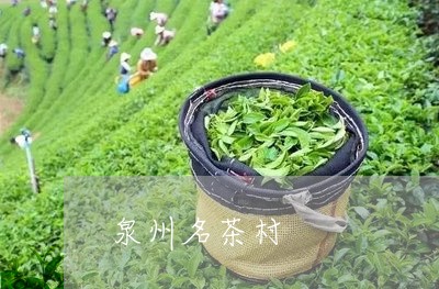 泉州名茶村/2023090294143