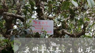 泉州普洱茶vs铁观音/2023121759813