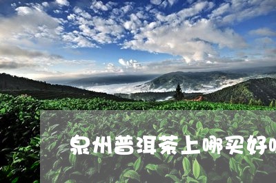 泉州普洱茶上哪买好呢/2023110359481