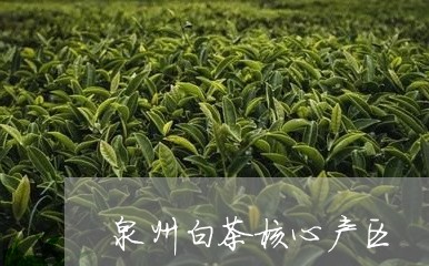 泉州白茶核心产区/2023062291816