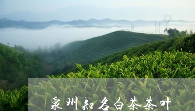 泉州知名白茶茶叶/2023062228371