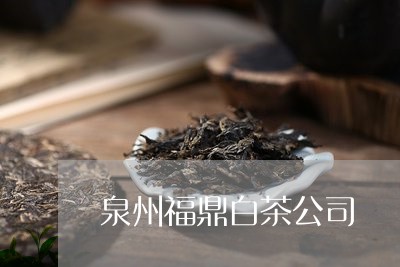 泉州福鼎白茶公司/2023062229695