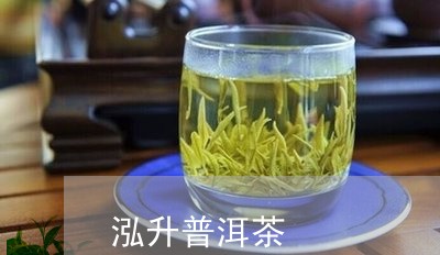 泓升普洱茶/2023102570492