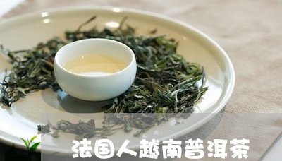 法国人越南普洱茶/2023080202734