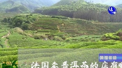 法国卖普洱茶的店有哪些/2023082479605