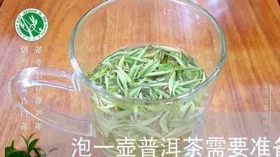 泡一壶普洱茶需要准备什么/2023081790603