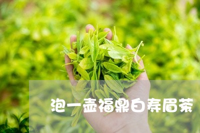 泡一壶福鼎白寿眉茶/2023120448270