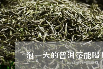 泡一天的普洱茶能喝吗/2023092671705