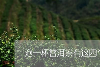 泡一杯普洱茶有这四个学问/2023051109492