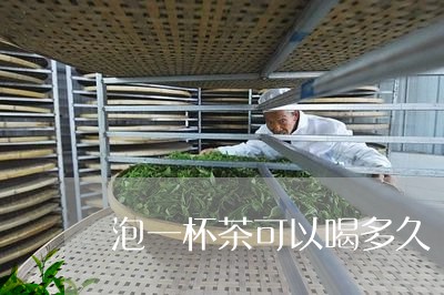 泡一杯茶可以喝多久/2023042064059