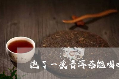 泡了一夜普洱茶能喝吗/2023061558470