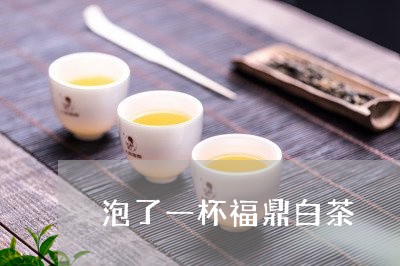 泡了一杯福鼎白茶/2023062274947