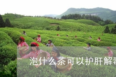 泡什么茶可以护肝解毒/2023071429493