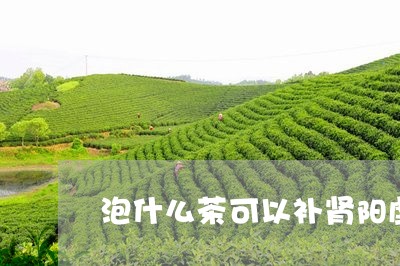 泡什么茶可以补肾阳虚/2023071470704