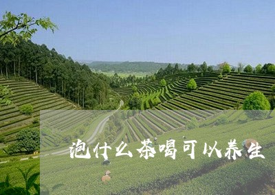 泡什么茶喝可以养生/2023042163927