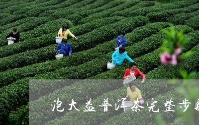 泡大益普洱茶完整步骤/2023062093979