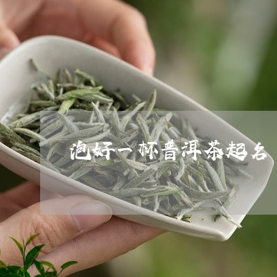 泡好一杯普洱茶起名/2023061610392