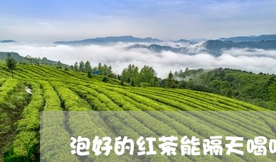 泡好的红茶能隔天喝吗/2023060823715