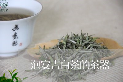 泡安吉白茶的茶器/2023062232713