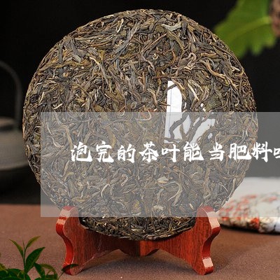 泡完的茶叶能当肥料吗/2023061183825