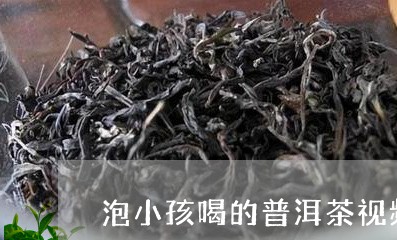 泡小孩喝的普洱茶视频/2023062367358