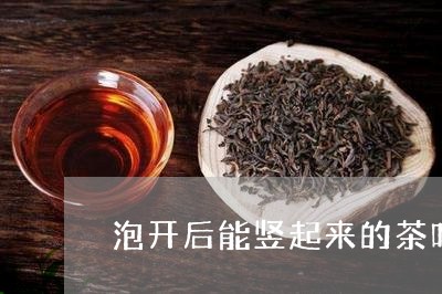 泡开后能竖起来的茶叶有哪些/2023052687472