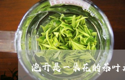 泡开是一朵花的茶叶是什么茶/2023052700692