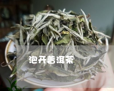 泡开普洱茶/2023090518352