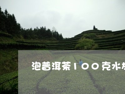 泡普洱茶100克水放多少克茶/2023082690503