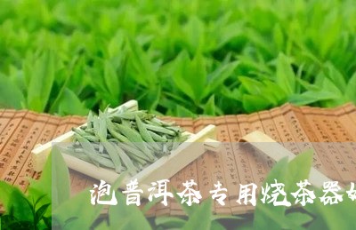 泡普洱茶专用烧茶器好吗/2023050718279