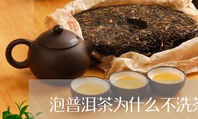 泡普洱茶为什么不洗茶/2023080303836