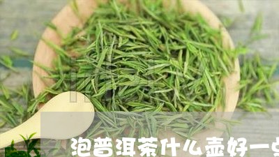 泡普洱茶什么壶好一点/2023120694726