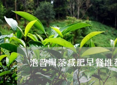 泡普洱茶减肥早餐推荐/2023062841937