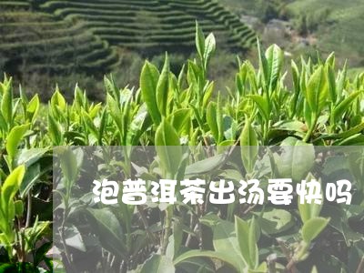 泡普洱茶出汤要快吗/2023091524047