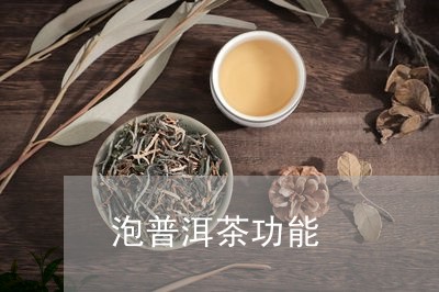 泡普洱茶功能/2023042693391