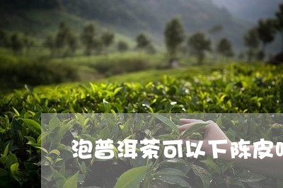 泡普洱茶可以下陈皮吗/2023072411516