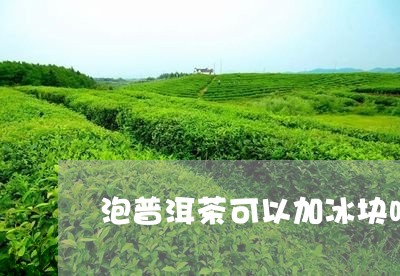 泡普洱茶可以加冰块吗/2023073160492