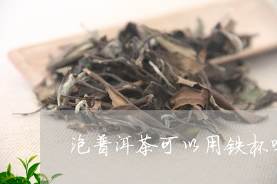 泡普洱茶可以用铁杯吗/2023061444815