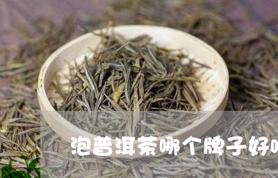 泡普洱茶哪个牌子好喝点/2023082584062