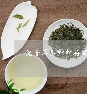 泡普洱茶哪种好喝点的茶/2023110791604